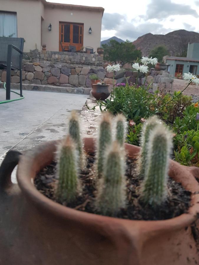 Tierra Primitiva Apartment Tilcara Bagian luar foto