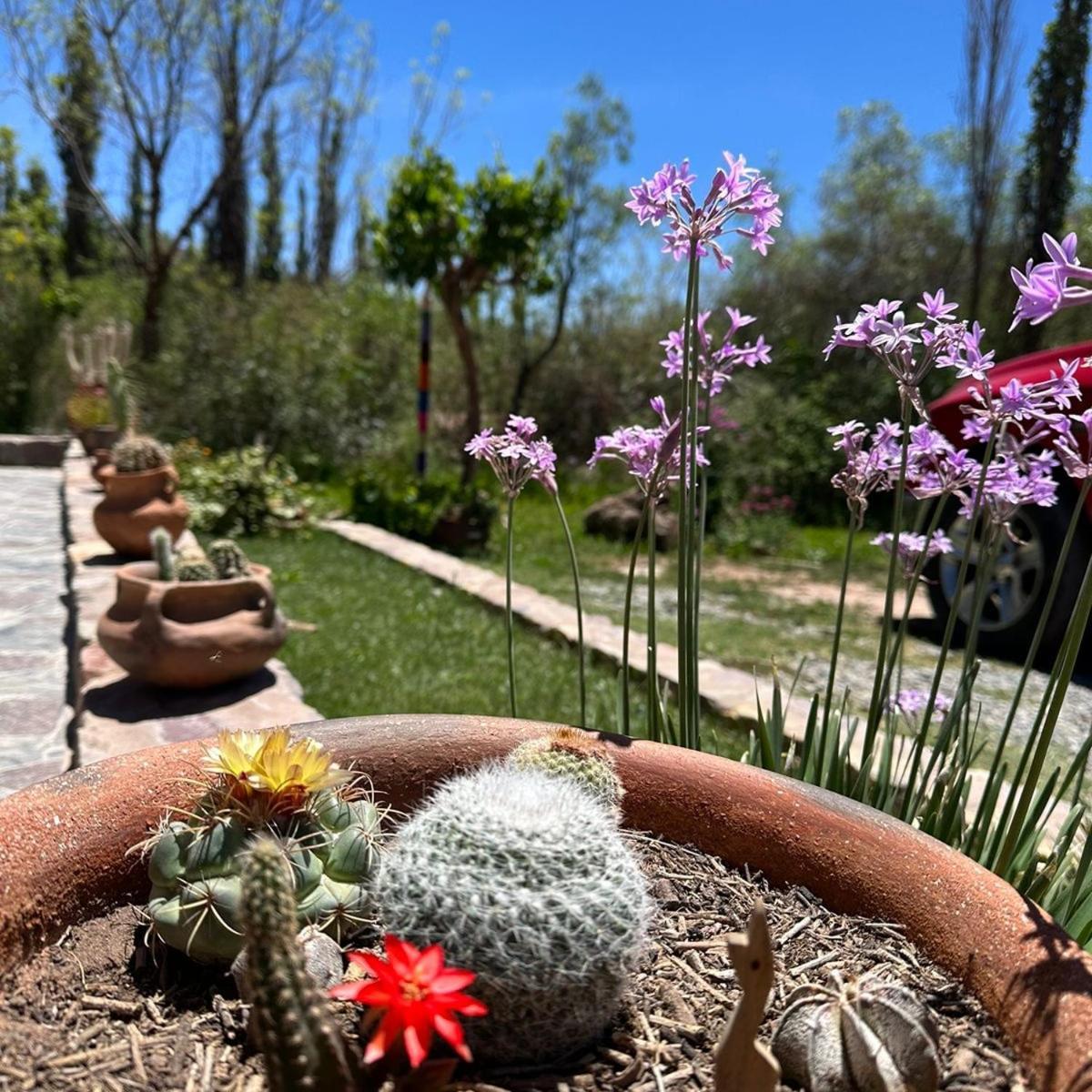 Tierra Primitiva Apartment Tilcara Bagian luar foto