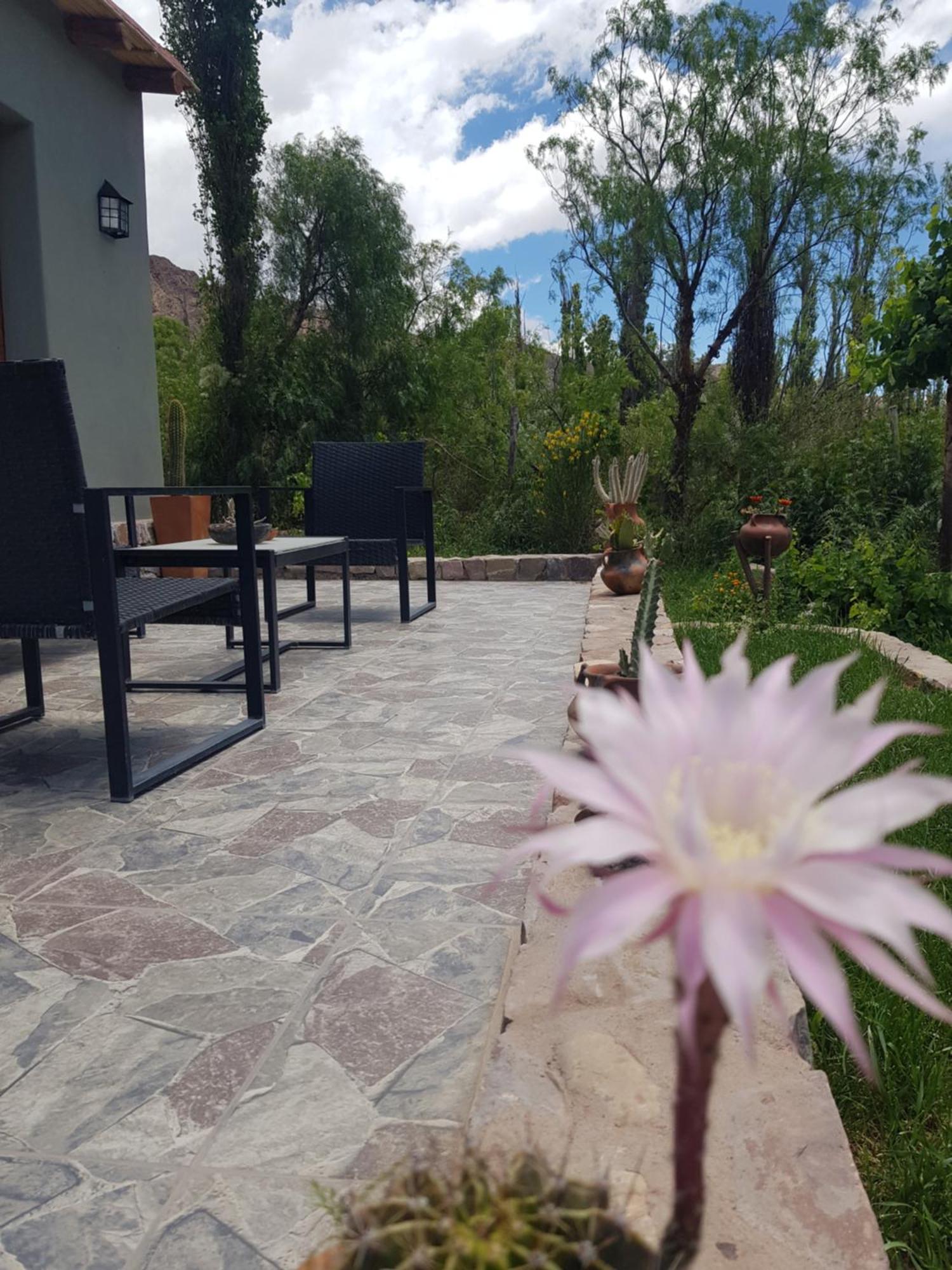Tierra Primitiva Apartment Tilcara Bagian luar foto