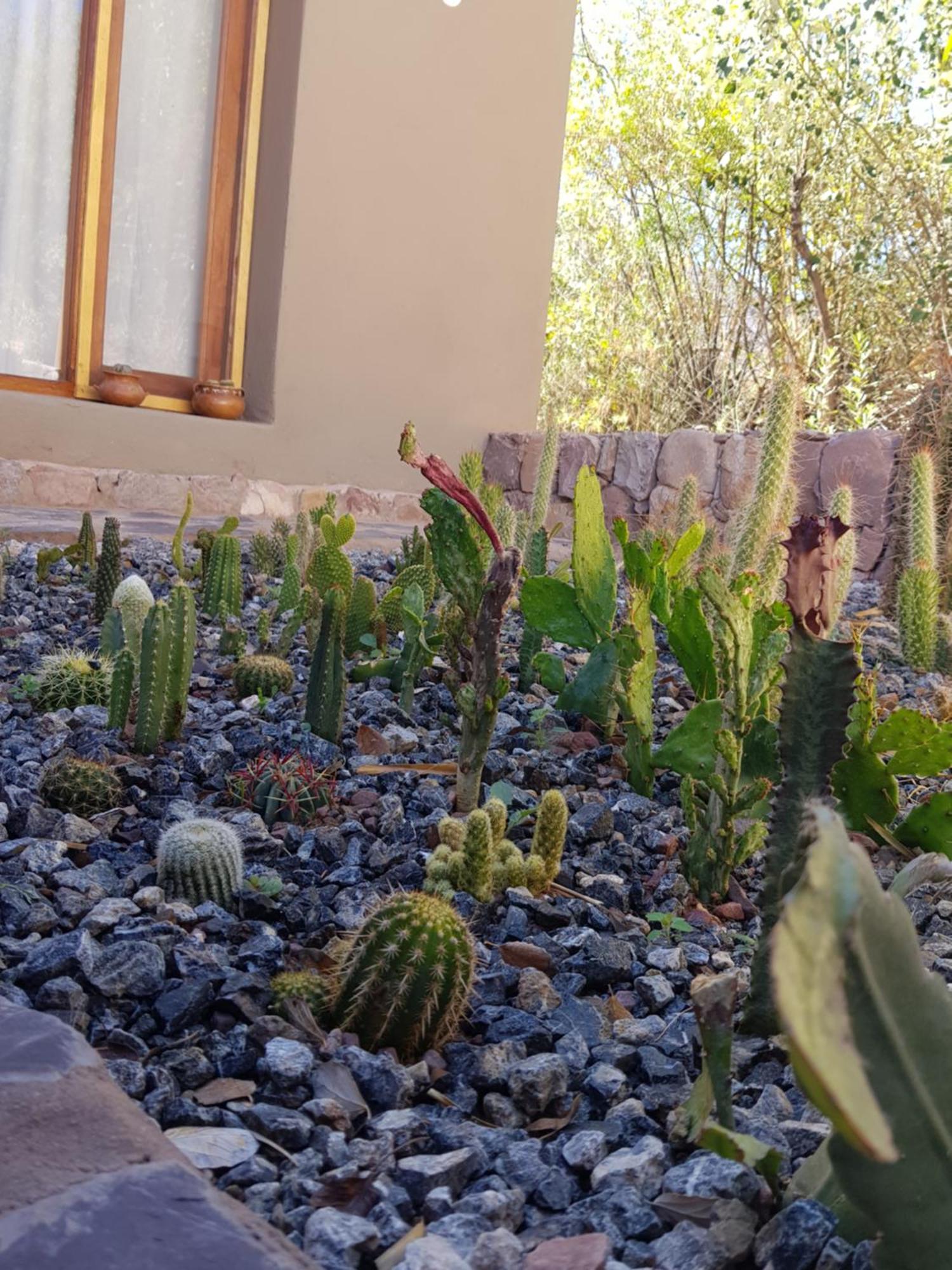 Tierra Primitiva Apartment Tilcara Bagian luar foto
