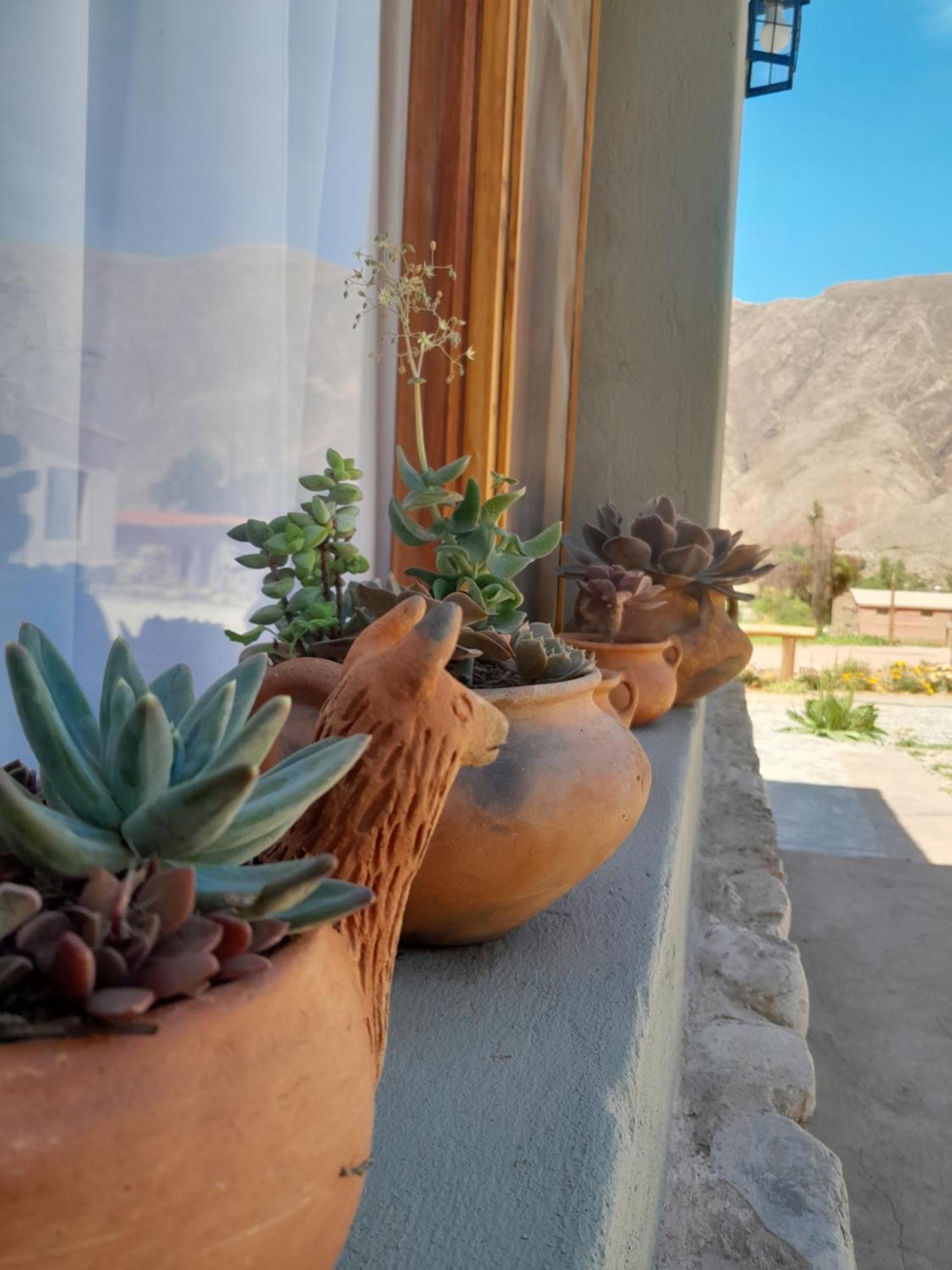 Tierra Primitiva Apartment Tilcara Bagian luar foto