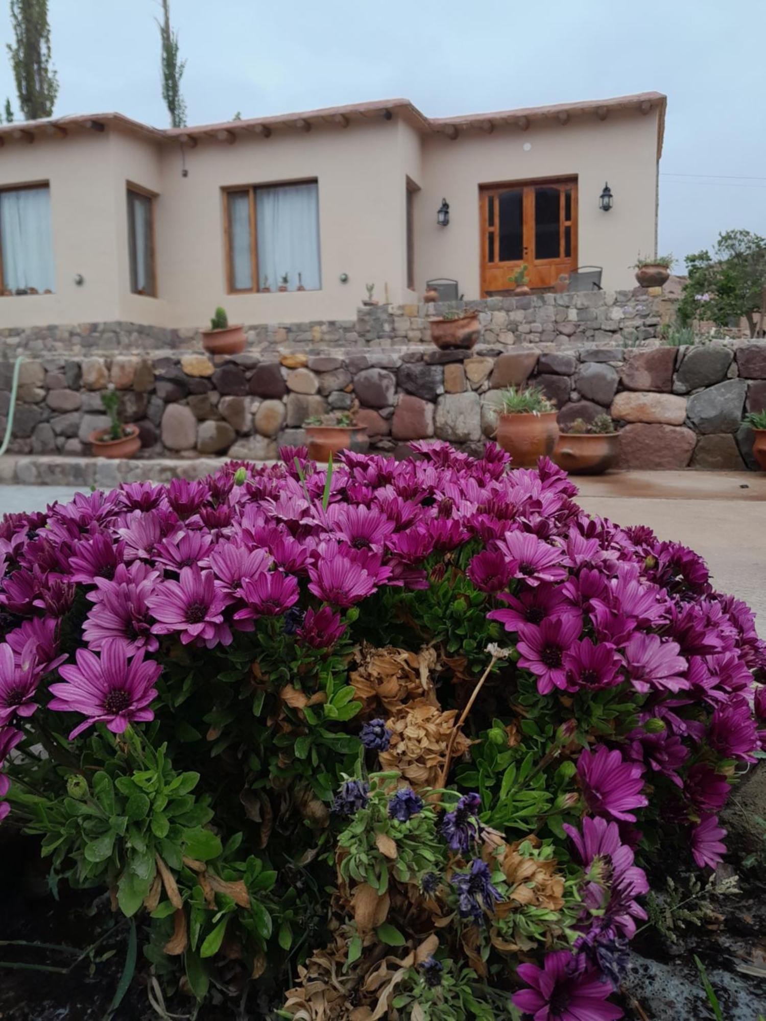 Tierra Primitiva Apartment Tilcara Bagian luar foto
